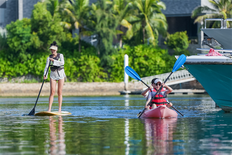 皮划艇桨板 皮划艇桨板